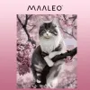 Maalaus numeroilla 40x50cm - Maaleo kissa 22783 | Osta verkosta — Megaluks