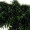 Christmas tree garland - green 6m Ruhhy 22308