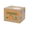 Battery operated piggy bank - kitty 22468