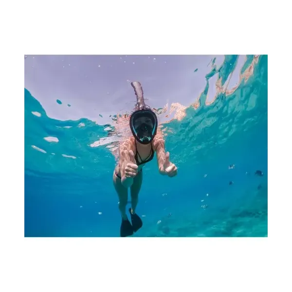 Full face snorkeling mask S/M part 23469 | Buy online — Megaluks