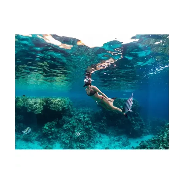Full face snorkeling mask S/M part 23469 | Buy online — Megaluks