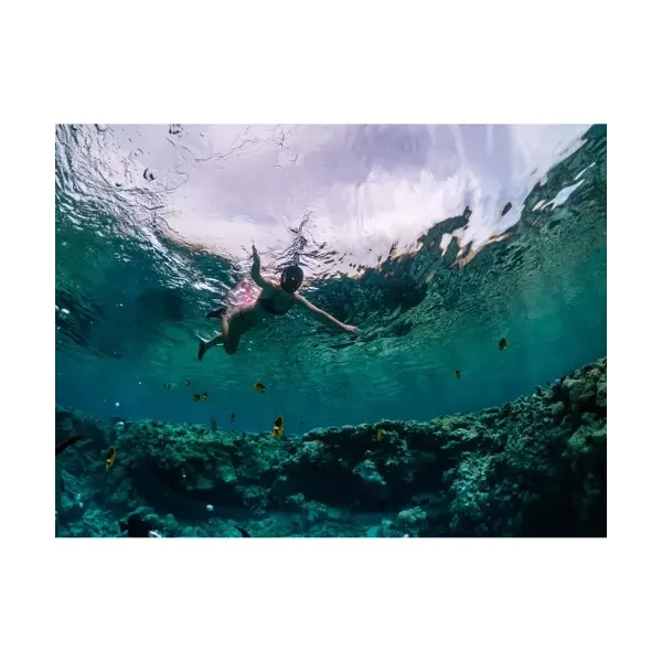 Full face snorkeling mask S/M part 23469 | Buy online — Megaluks