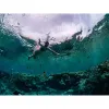 Full face snorkeling mask S/M part 23469 | Buy online — Megaluks