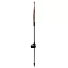 Solar garden lamp - dandelions Gardlov 23561
