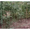 Сетка - опора для растений 2х10м Гардлов 23978 | Купить онлайн — Megaluks
