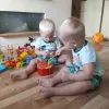 Koka zemeņu spēle 22411 | Pirkt tiešsaistē — Megaluks