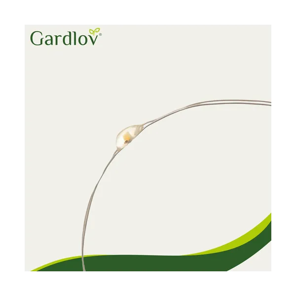 Saules virtene 15m IP44 Gardlov 24007 | Pirkt tiešsaistē — Megaluks