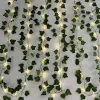 Mākslīgā efeja + LED Gardlov 24538 | Pirkt tiešsaistē — Megaluks