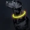LED-valgusega kaelarihm - reguleeritav Purlov 2420 | Osta veebist — Megaluks
