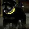 LED-valgusega kaelarihm - reguleeritav Purlov 2420 | Osta veebist — Megaluks
