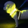 LED-valgusega kaelarihm - reguleeritav Purlov 2420 | Osta veebist — Megaluks