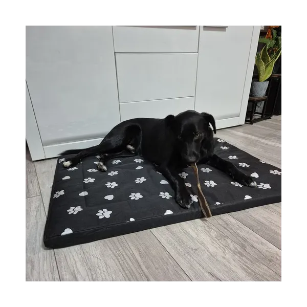 Dog bed 100x70cm Purlov 24862