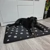 Suņu gulta 100x70cm Purlov 24862 | Pirkt tiešsaistē — Megaluks