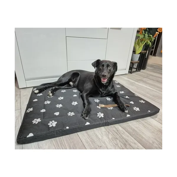 Dog bed 100x70cm Purlov 24862