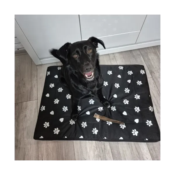 Dog bed 100x70cm Purlov 24862
