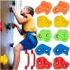 Climbing holds 12 pieces Kruzzel 25394 | Buy online — Megaluks