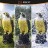 Paukščių baidyklė - sakalas 23421 | Pirkti internetu — Megaluks