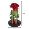 Roos klaasis - särav Ruhhy 25682 | Osta veebist — Megaluks