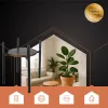 Standing flower stand 41 cm Ruhhy 26049 | Buy online — Megaluks
