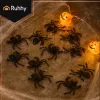 Plastic spiders - decoration - 10 pcs Ruhhy 260 | Pirkt tiešsaistē — Megaluks