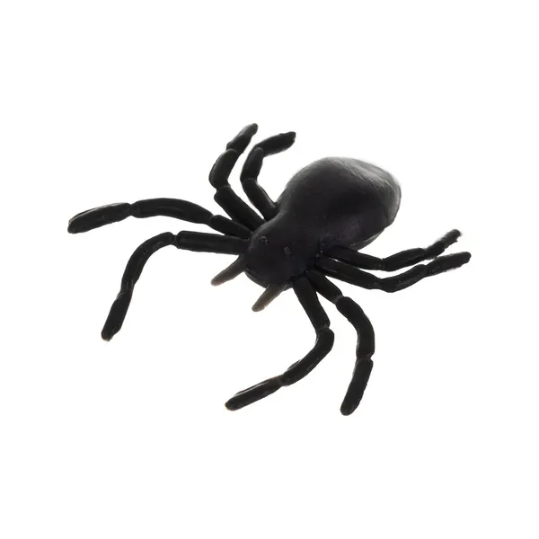 Plastic spiders - decoration - 10 pcs Ruhhy 260 | Pirkt tiešsaistē — Megaluks
