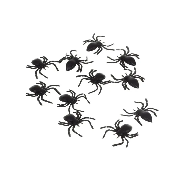 Plastic spiders - decoration - 10 pcs Ruhhy 260 | Pirkt tiešsaistē — Megaluks
