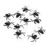 Plastic spiders - decoration - 10 pcs Ruhhy 260 | Pirkt tiešsaistē — Megaluks
