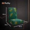 Chair covers 6 pcs light green Ruhhy 26637 | Osta veebist — Megaluks