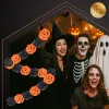 Garland - pumpkin 3m Ruhhy 26030 | Osta veebist — Megaluks