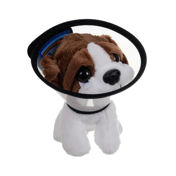 Little vet set with carrier | Osta veebist — Megaluks