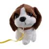 Little vet set with carrier | Osta veebist — Megaluks