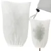 Plant hood 1.6x1m Gardlov 26549 | Pirkt tiešsaistē — Megaluks