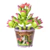 Construction blocks - flowers 172 pcs 26459 | Buy online — Megaluks