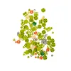 Construction blocks - flowers 172 pcs 26459 | Buy online — Megaluks
