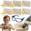 Dinosaur Excavation Set | Osta veebist — Megaluks