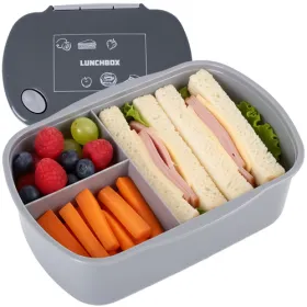Lunchbox 800ml gray Ruhhy 26169 | Osta veebist — Megaluks