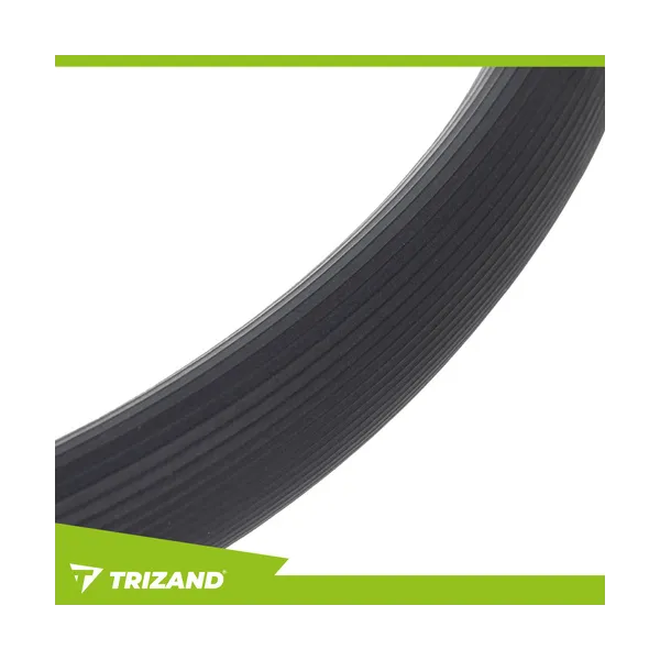 Triznad 26848 Exercise Ring | Buy online — Megaluks