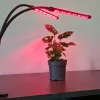 Lamp 20 LED 2pcs for plant growth Gardlov 19241