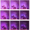 Lamp 20 LED 3pcs for plant growth Gardlov 19242