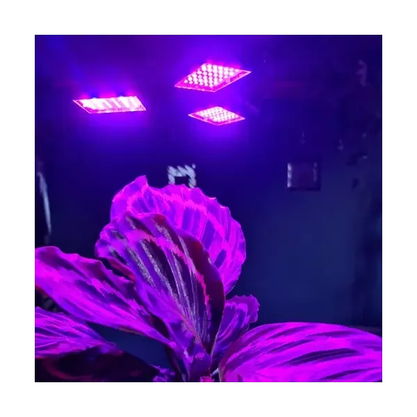 108 LED Plant Growth Lamp Gardlov 20440