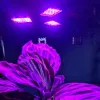 108 LED Plant Growth Lamp Gardlov 20440
