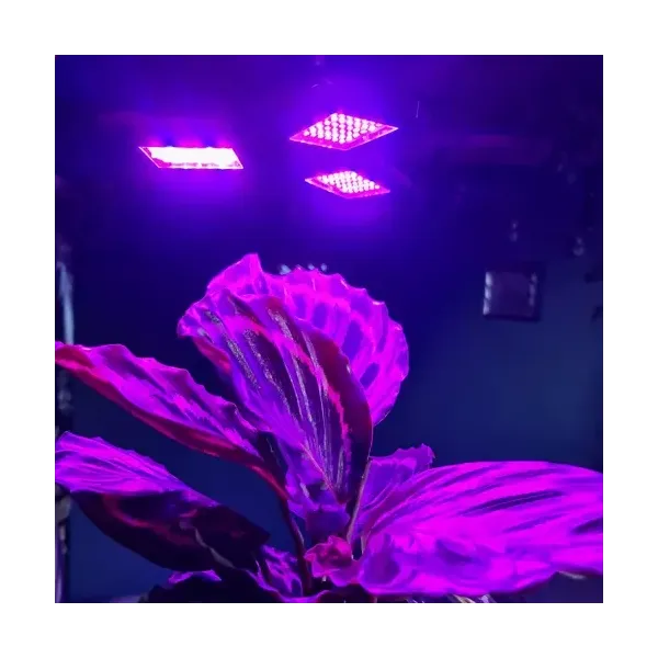 108 LED Plant Growth Lamp Gardlov 20440