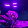 108 LED Plant Growth Lamp Gardlov 20440