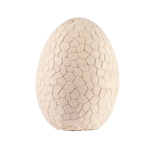 Dinosaur Egg - Excavation Site 24981