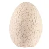 Dinosaur Egg - Excavation Site 24981