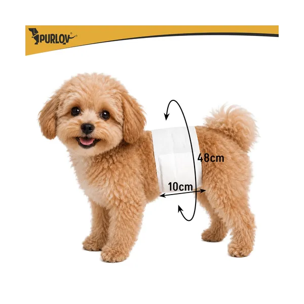 Dog diapers size SM Purlov