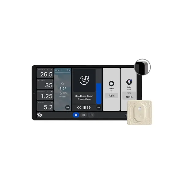 Control panel Shelly WALL DISPLAY X2(SL)+BLUHT(IVO)