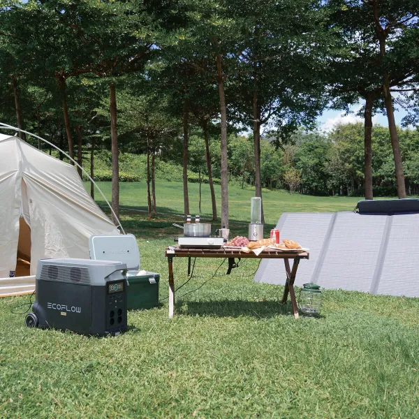 Portable Solar Generator Ecoflow DELTA Pro