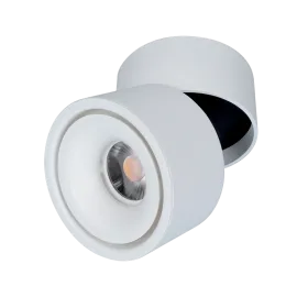 TLS503 COB TRACK LIGHT 10W 6400K 24° WHITE | Buy online — Megaluks