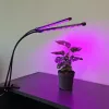 20 LED-i 2 tk taimede kasvuks Gardlov 19241